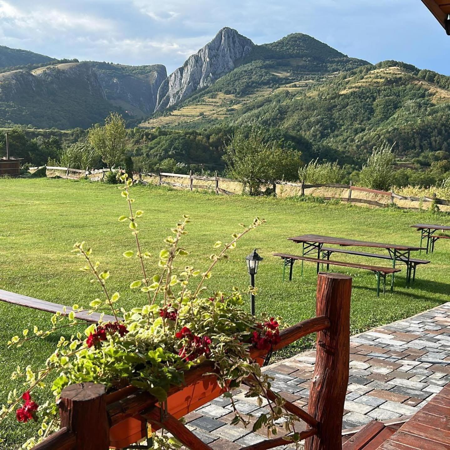 Pensiunea Bodrogeni Poiana Aiudului Exterior foto